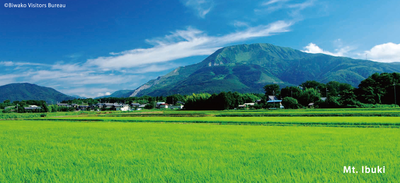 Mt.Ibuki Mt.Ibuki